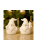 10 cm (1200 x 1200 px) (1280 x 720 px) (1200 x 1200 px) (900 x 1200 px) (57).png