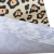 10 cm (1200 x 1200 px) (1280 x 720 px) (1200 x 1200 px) - 2025-12-27T115053.545.png