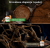 ChatGPT Image 19 lip 2026, 20_55_24.png