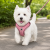 ChatGPT Image 14 sie 2026, 16_31_37.png