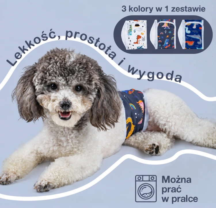 ChatGPT Image 14 sie 2026, 22_49_54.png