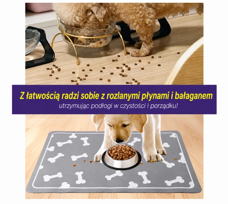ChatGPT Image 15 sie 2026, 22_09_04.png