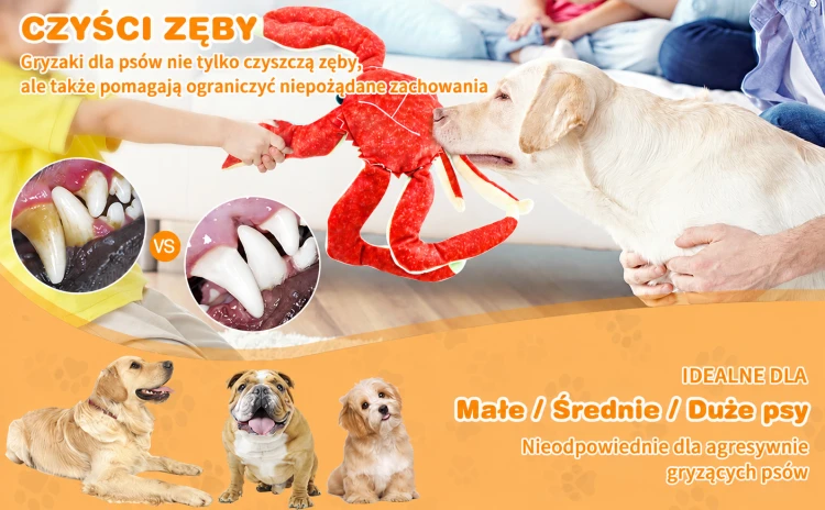 ChatGPT Image 16 sie 2026, 14_44_39.png
