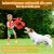 ChatGPT Image 16 sie 2026, 14_25_44.png