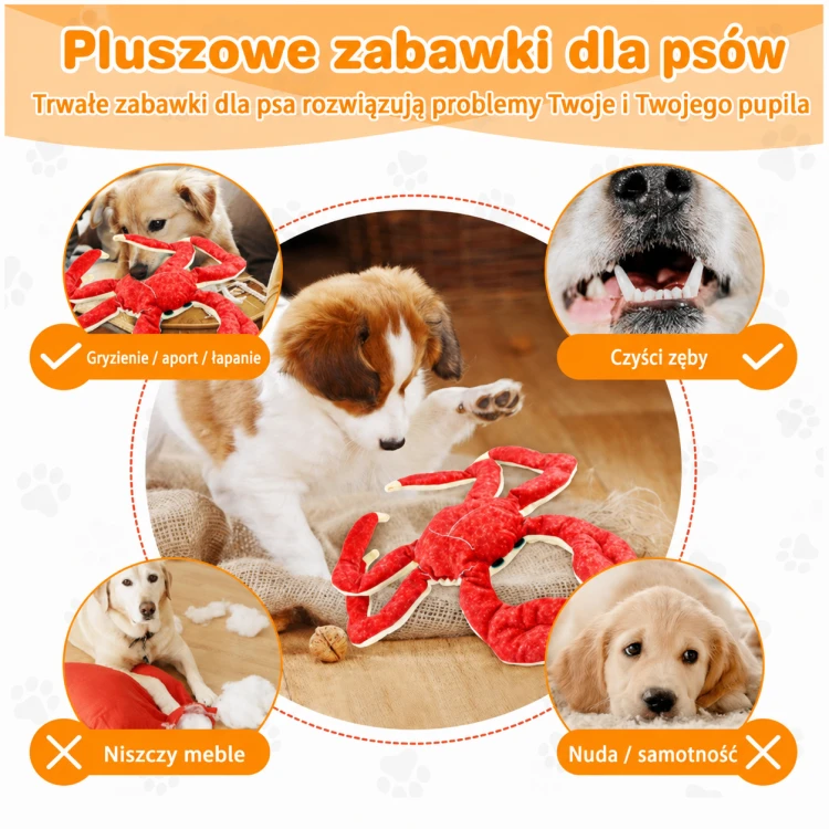 ChatGPT Image 16 sie 2026, 14_22_31.png