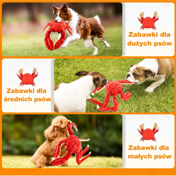 ChatGPT Image 16 sie 2026, 14_19_28.png