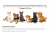 ChatGPT Image 16 sie 2026, 22_00_23.png