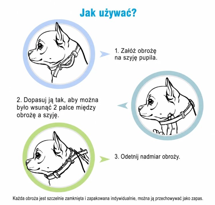 ChatGPT Image 16 sie 2026, 21_55_28.png