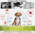 ChatGPT Image 16 sie 2026, 21_50_33.png