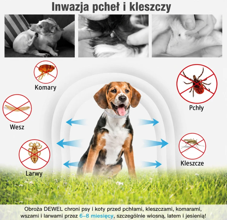 ChatGPT Image 16 sie 2026, 21_50_33.png