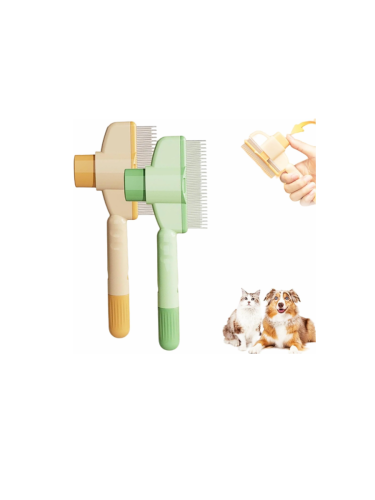 10 cm (1200 x 1200 px) (1280 x 720 px) (1200 x 1200 px) (900 x 1200 px) - 2026-08-17T184719.223.png