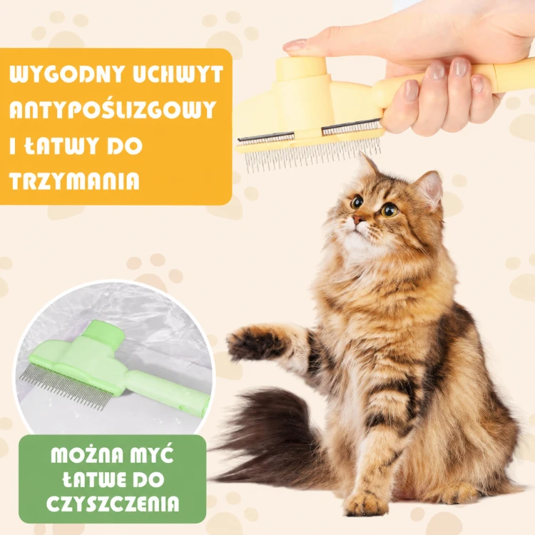ChatGPT Image 17 sie 2026, 15_49_42.png