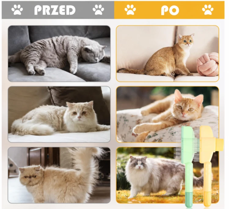 ChatGPT Image 17 sie 2026, 18_49_07.png