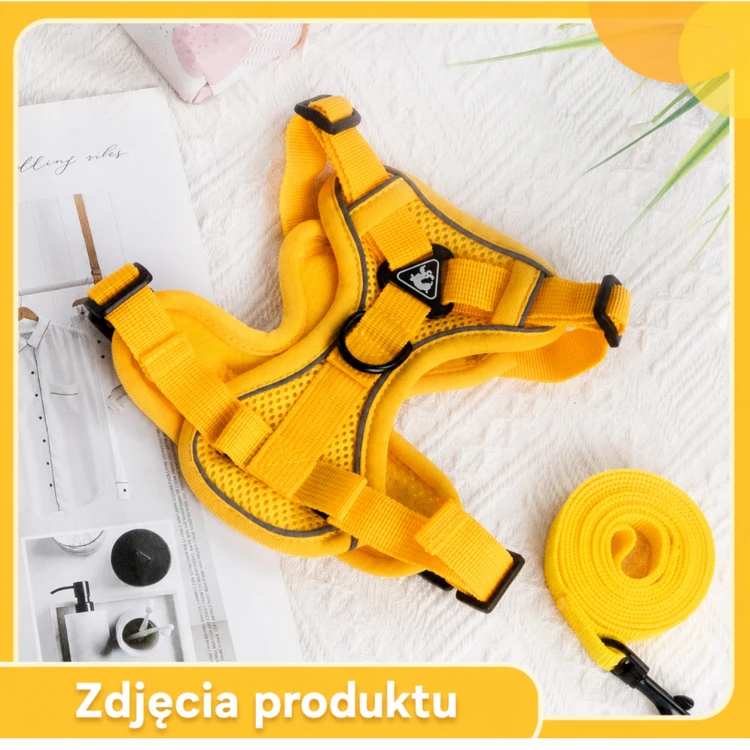 ChatGPT Image 17 sie 2026, 19_46_35 (1).png