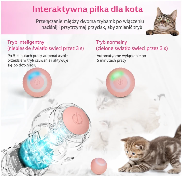 ChatGPT Image 17 sie 2026, 21_00_26.png
